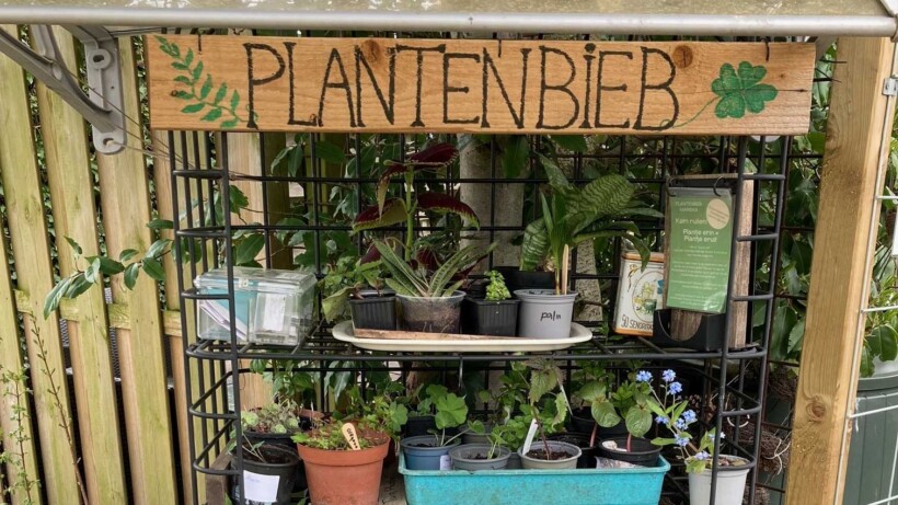 Plantenbieb