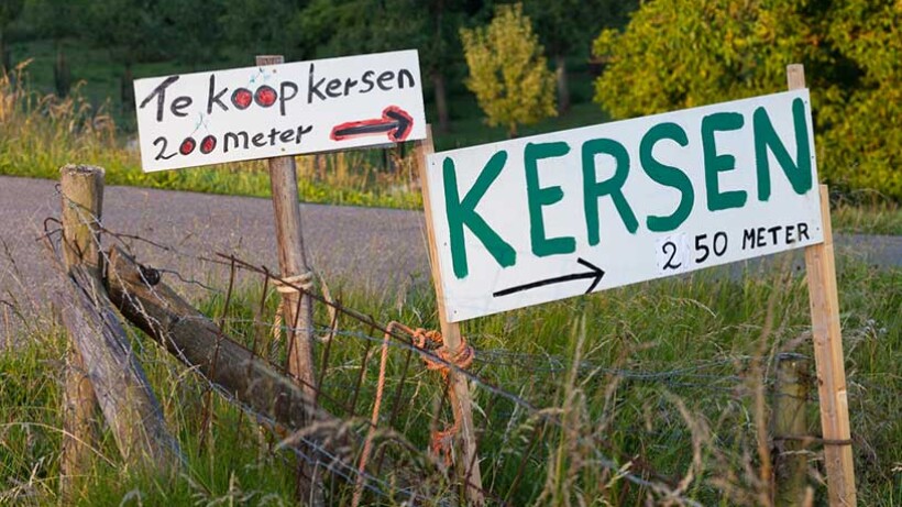 Leuke boerderijwinkels in jouw provincie