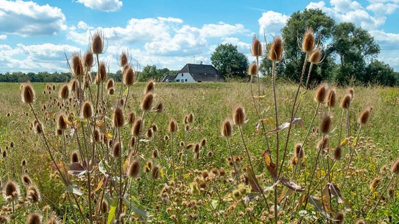 Wandeling van de maand: Groene Wissel Beuningen