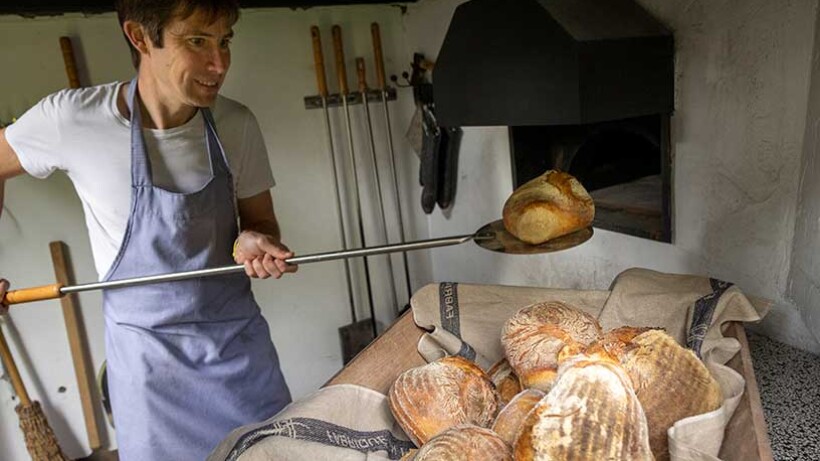 Buurtbikkel: brood van zuurdesem