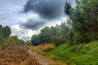 Wandeling van de maand: Trage Tocht Spier