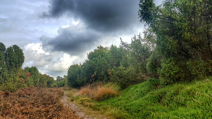 Wandeling van de maand: Trage Tocht Spier