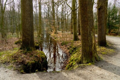 Wandeling van de maand: Groene Wissel Amersfoort Vathorst