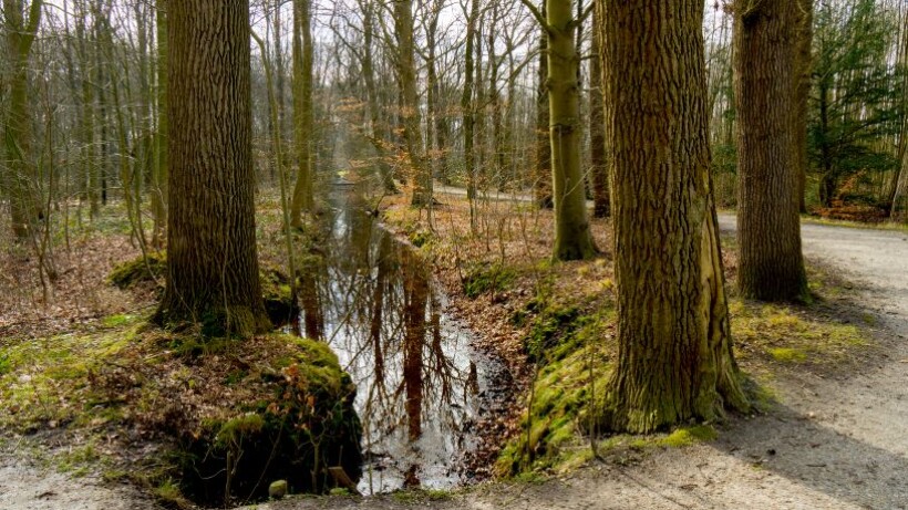 Wandeling van de maand: Groene Wissel Amersfoort Vathorst