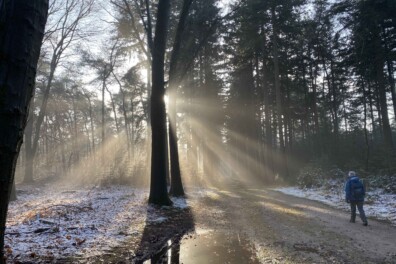 Wandeling van de maand: Ehzerwold Velhorst