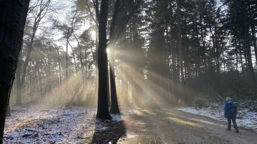 Wandeling van de maand: Ehzerwold Velhorst