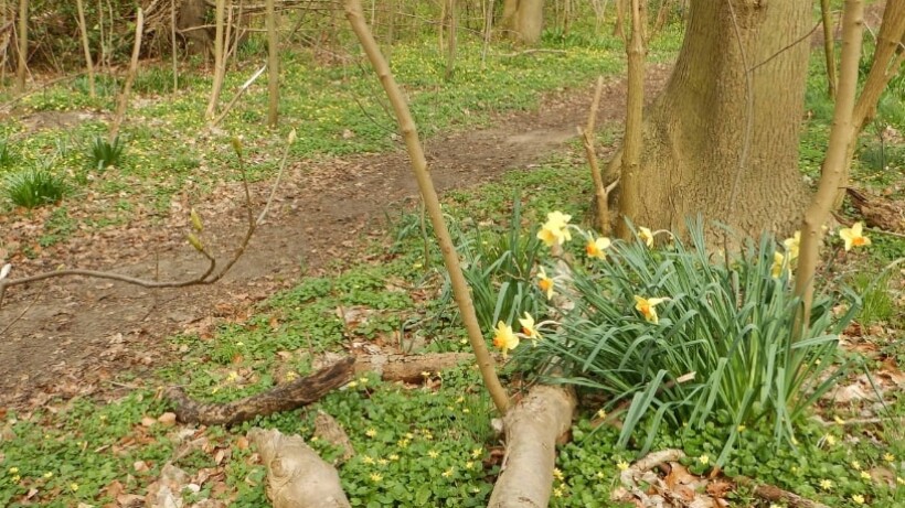 Wandeling van de maand: Trage Tocht Egmond-Binnen