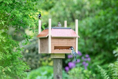 Maak een vogelhuisje met badje