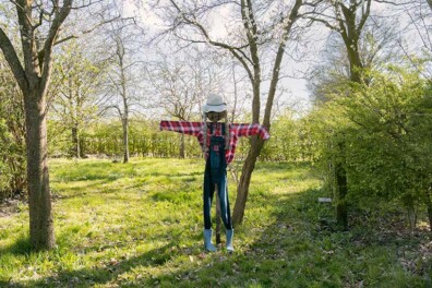 Vogelverschrikker: held op stokken