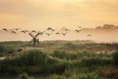 Fietsroute door de polder van Purmerend