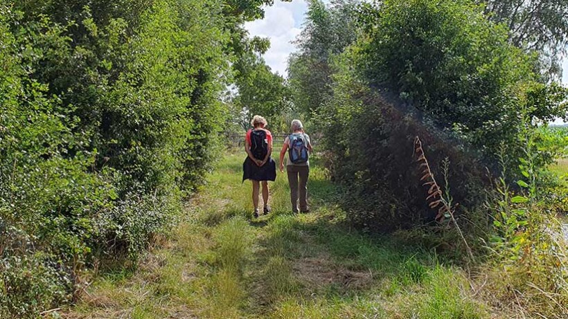 Wandeling van de maand: Kort en Prachtig Montfoort