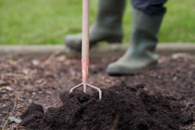 Een moestuin beginnen