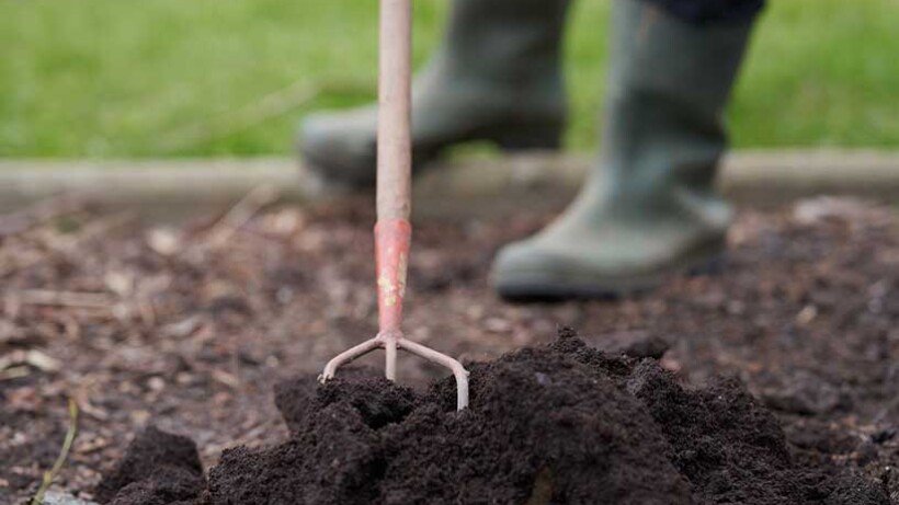 Een moestuin beginnen