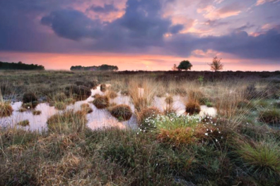 Fietsroute het Fochteloërveen