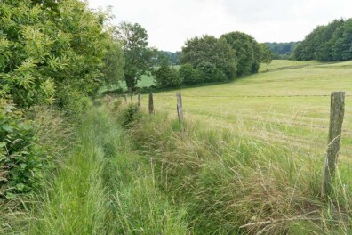 Wandeling van de maand: Groene Wissel Vaals