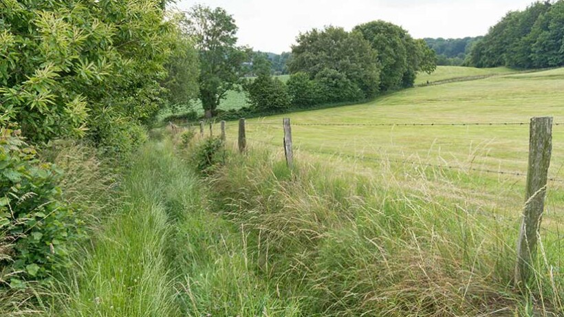 Wandeling van de maand: Groene Wissel Vaals