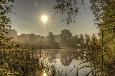 Fietsroute Natuurreservaat De Doort