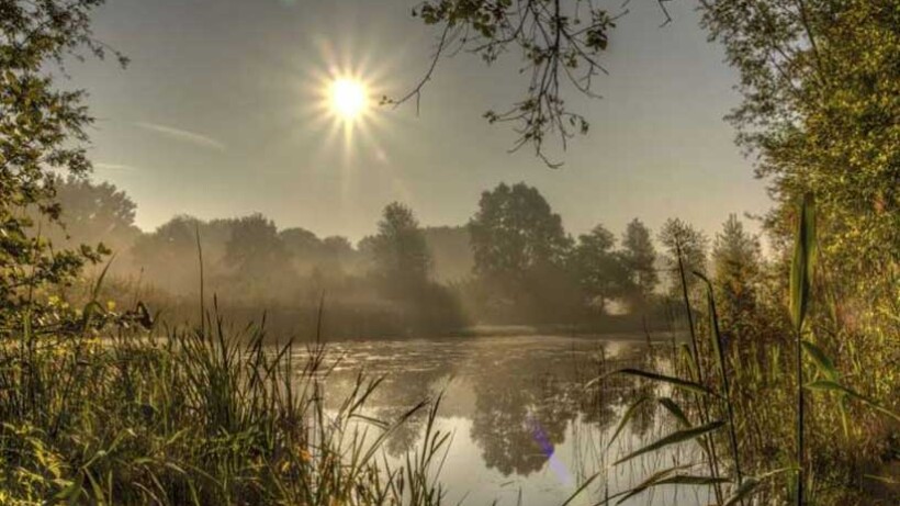 Fietsroute Natuurreservaat De Doort