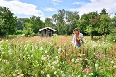 Verbouw zelf bloemenzaad voor je pluktuin