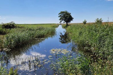 Wandeling van de maand: Mirnser Klif