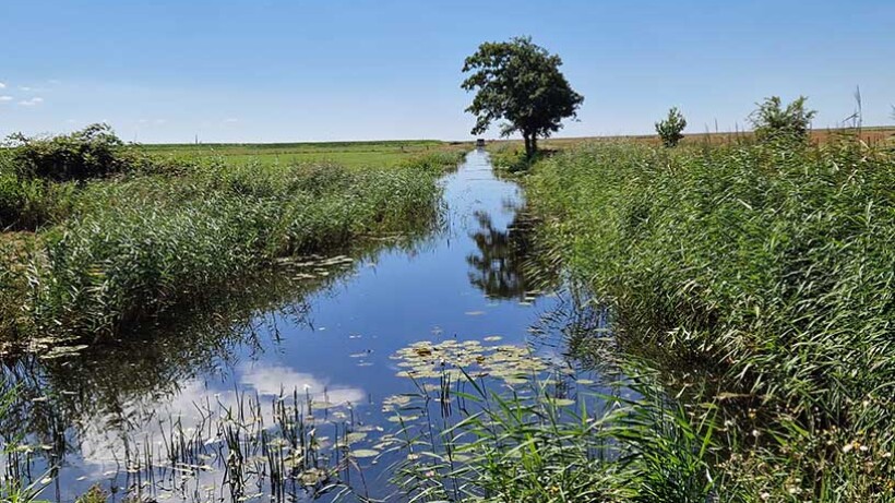 Wandeling van de maand: Mirnser Klif