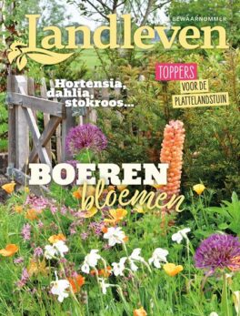 Boerenbloemen