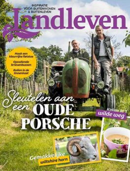 April: sleutelen aan oude porsche