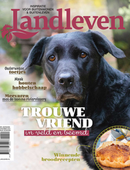 November: trouwe vriend in veld en beemd