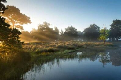 Fietsroute Het Doldersummerveld