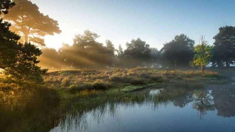 Fietsroute Het Doldersummerveld