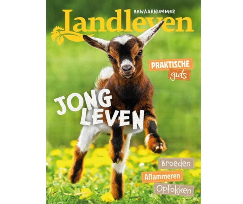 Jong Leven