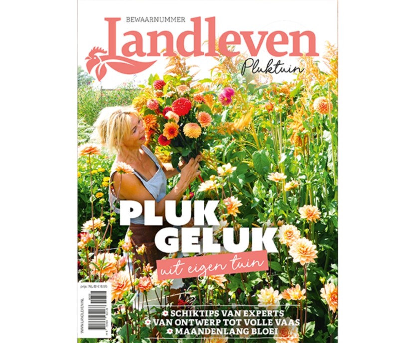 Pluktuin