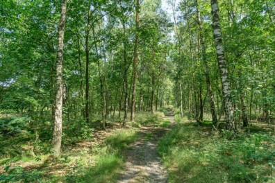 Wandeling van de maand: Groene Wissel Bilthoven