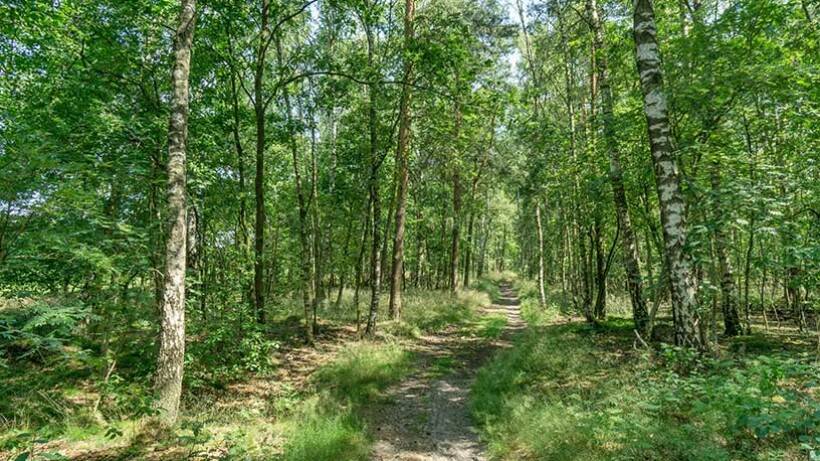 Wandeling van de maand: Groene Wissel Bilthoven