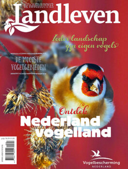 Nederland vogelland