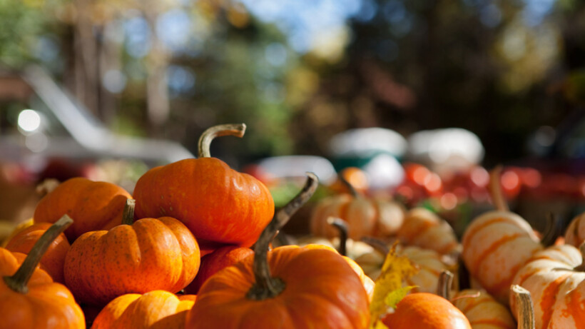 De leukste uitjes in oktober