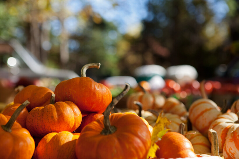 De leukste uitjes in oktober