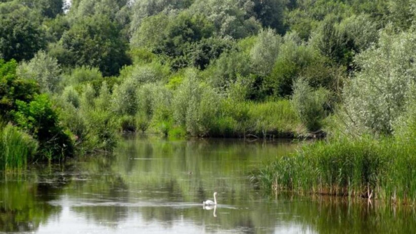 Fietsroute in het Horsterwold