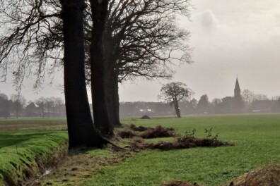 Wandeling van de maand: Trage Tocht Huijbergen