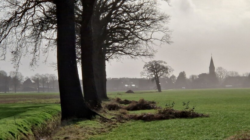 Wandeling van de maand: Trage Tocht Huijbergen