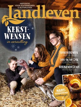 December: kerstwensen