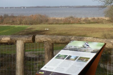 Wandeling van de maand: Knopenrondje Huizen