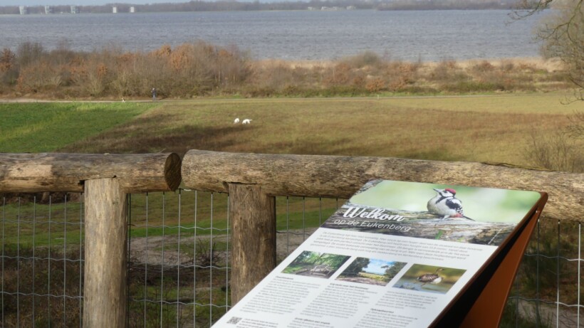 Wandeling van de maand: Knopenrondje Huizen