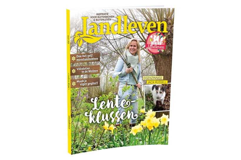 Maart: lenteklussen