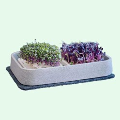 Microgarden winactie