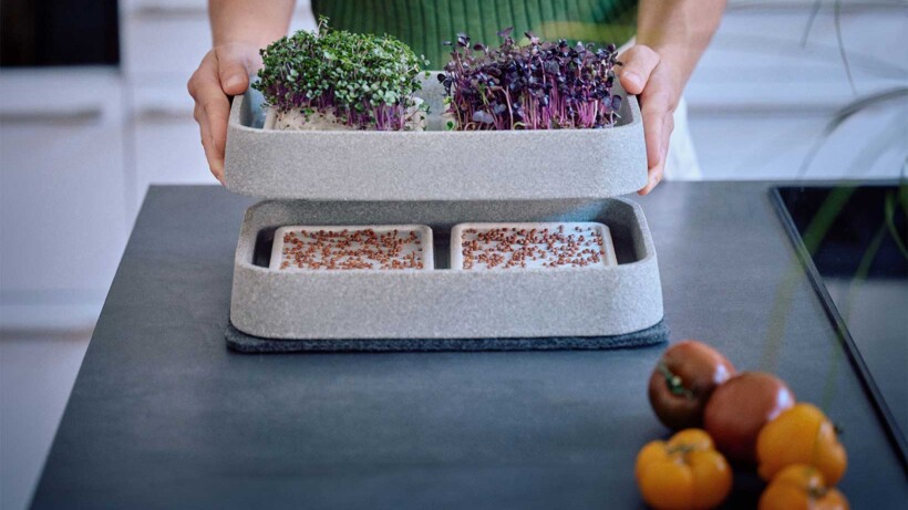 Win een Microgarden XL