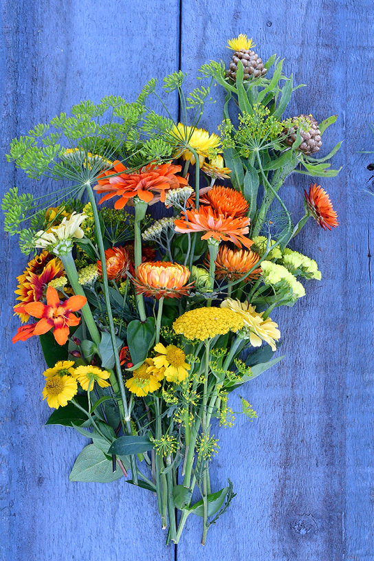 boeket oranje en gele plukbloemen voor een blauwe achtergrond