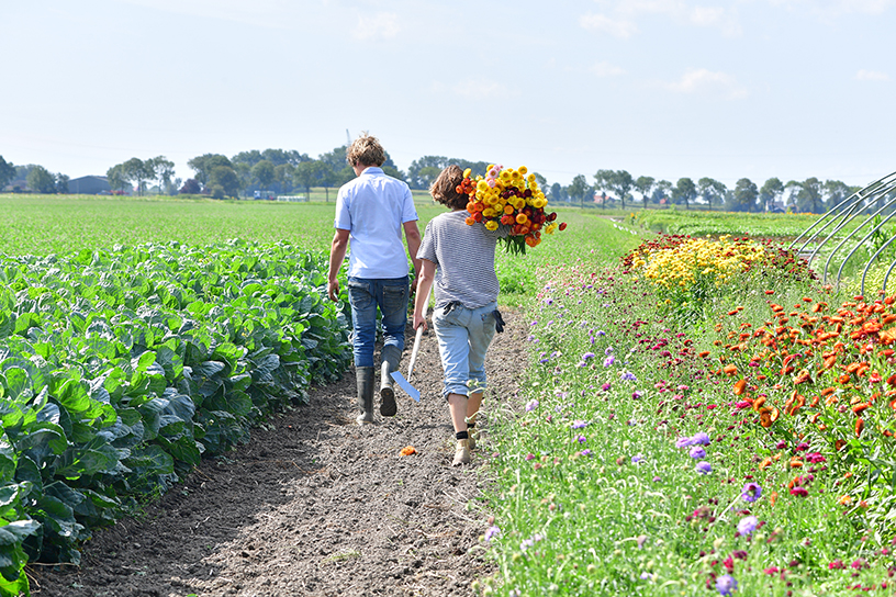 2 mensen die door een bloemenveld heenlopen met bloemen