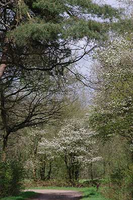 Landgoed Rheebruggen