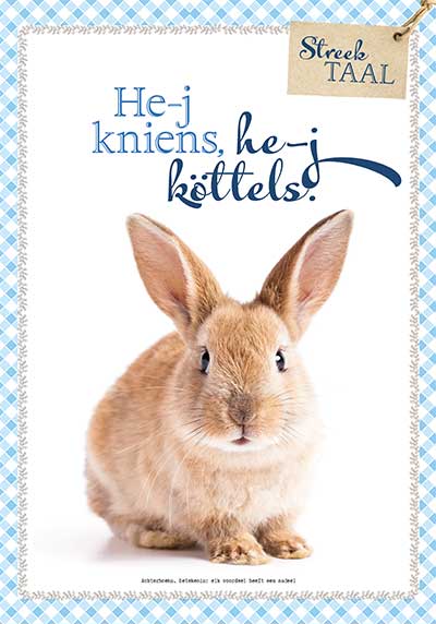 Miniposter mei: He'j kniens, he'j köttels